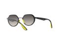 Ray-Ban Solbriller RB 3703M F030/11