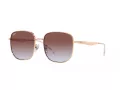 Ray-Ban Solbriller RB 3713D 9202I8
