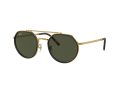 Ray-Ban Solbriller RB 0RB3765 919631