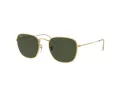 Ray-Ban Frank Solbriller RB 3857 9196/31