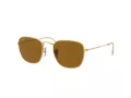 Ray-Ban Frank Solbriller RB 3857 9196/33