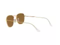Ray-Ban Frank Solbriller RB 3857 9196/33