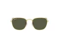 Ray-Ban Frank Solbriller RB 3857 9196/58