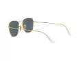 Ray-Ban Frank Solbriller 3857 9196R5