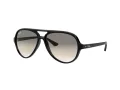 Ray-Ban Cats 5000 Solbriller RB 4125 601/32