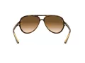 Ray-Ban Cats 5000 Solbriller RB 4125 710/51