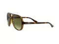 Ray-Ban Cats 5000 Solbriller RB 4125 710/A6