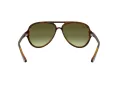 Ray-Ban Cats 5000 Solbriller RB 4125 710/A6