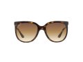 Ray-Ban Cats 1000 Solbriller RB 4126 710/51
