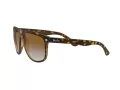 Ray-Ban Boyfriend Solbriller RB 4147 710/51