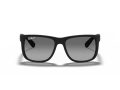 Ray-Ban Justin Solbriller RB 4165 622/T3