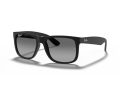 Ray-Ban Justin Solbriller RB 4165 622/T3