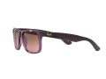 Ray-Ban Justin Solbriller RB 4165 6595/14