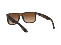 Ray-Ban Justin Solbriller RB 4165 710/13