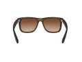 Ray-Ban Justin Solbriller RB 4165 710/13