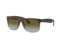 Ray-Ban Justin Solbriller RB 4165 854/7Z