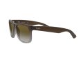 Ray-Ban Justin Solbriller RB 4165 854/7Z