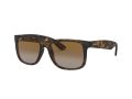 Ray-Ban Justin Solbriller RB 4165 865/T5