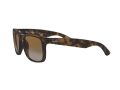 Ray-Ban Justin Solbriller RB 4165 865/T5