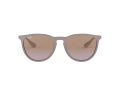 Ray-Ban Erika Solbriller RB 4171 6000/68