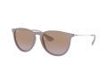 Ray-Ban Erika Solbriller RB 4171 6000/68