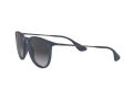 Ray-Ban Erika Solbriller RB 4171 6002/8G