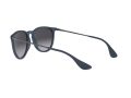 Ray-Ban Erika Solbriller RB 4171 6002/8G