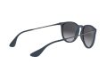 Ray-Ban Erika Solbriller RB 4171 6002/8G