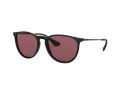 Ray-Ban Erika Solbriller RB 4171 601/5Q