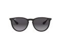 Ray-Ban Erika Solbriller RB 4171 622/8G