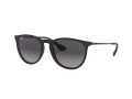Ray-Ban Erika Solbriller RB 4171 622/8G