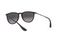 Ray-Ban Erika Solbriller RB 4171 622/8G