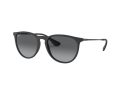Ray-Ban Erika Solbriller RB 4171 622/T3