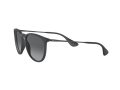 Ray-Ban Erika Solbriller RB 4171 622/T3