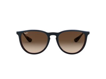Ray-Ban Erika Solbriller RB 4171 6315/13