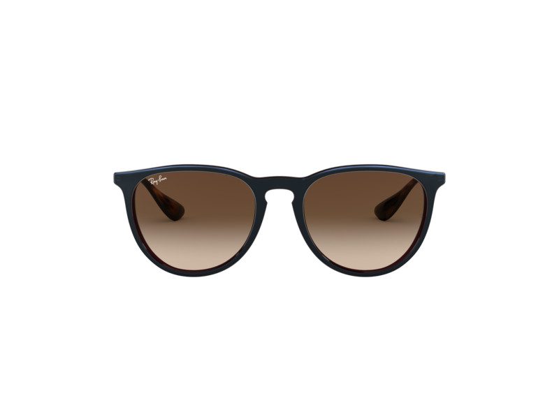 Ray-Ban Erika Solbriller RB 4171 6315/13