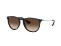 Ray-Ban Erika Solbriller RB 4171 6315/13
