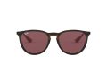 Ray-Ban Erika Solbriller RB 4171 6391/75