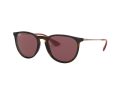 Ray-Ban Erika Solbriller RB 4171 6391/75