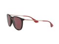 Ray-Ban Erika Solbriller RB 4171 6391/75