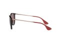 Ray-Ban Erika Solbriller RB 4171 6391/75