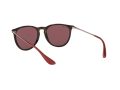 Ray-Ban Erika Solbriller RB 4171 6391/75