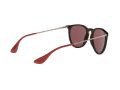 Ray-Ban Erika Solbriller RB 4171 6391/75