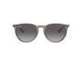 Ray-Ban Erika Solbriller RB 4171 6513/8G