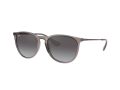 Ray-Ban Erika Solbriller RB 4171 6513/8G