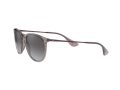 Ray-Ban Erika Solbriller RB 4171 6513/8G