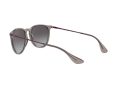 Ray-Ban Erika Solbriller RB 4171 6513/8G