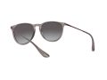 Ray-Ban Erika Solbriller RB 4171 6513/8G