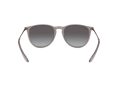Ray-Ban Erika Solbriller RB 4171 6513/8G