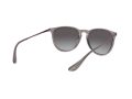 Ray-Ban Erika Solbriller RB 4171 6513/8G